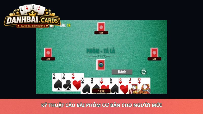 Kỹ Thuật Câu Bài Phỏm Cơ Bản Cho Người Mới